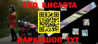 spice Будённовск